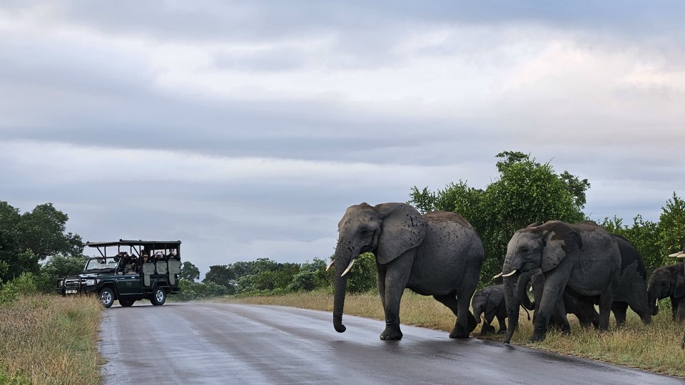 <h2>The Best of South Africa Escorted 2023</h2> 14 Nights | 6 Rounds | March 11 - 25